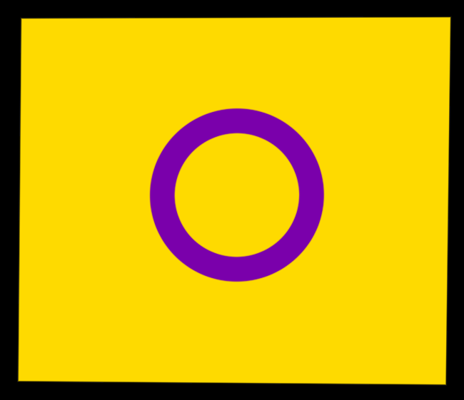 A drawing of the intersex flag which is yellow with a purple circle in the middle the flag is outlined in black